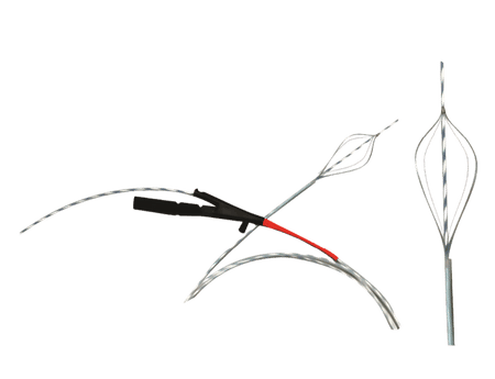 Wire Guided Memory Basket Shaili Endoscopy